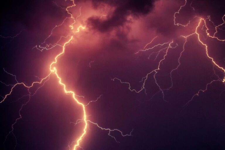 electric shock immobilizes body