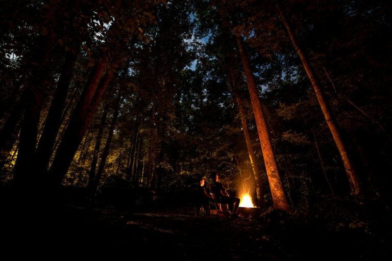 camping chair purchasing options