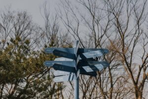 camping options near you