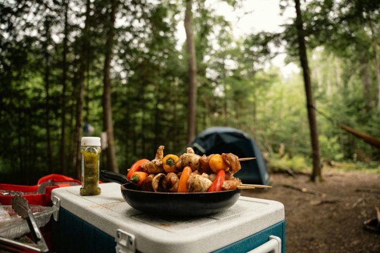 food safety camping cooler